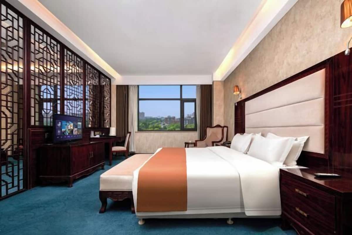 A hotel room with a large bed, a TV, a desk, and a view of a cityscape.