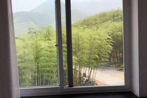 施設からの眺望