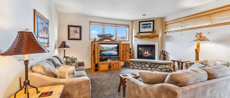 TV, fireplace, DVD player