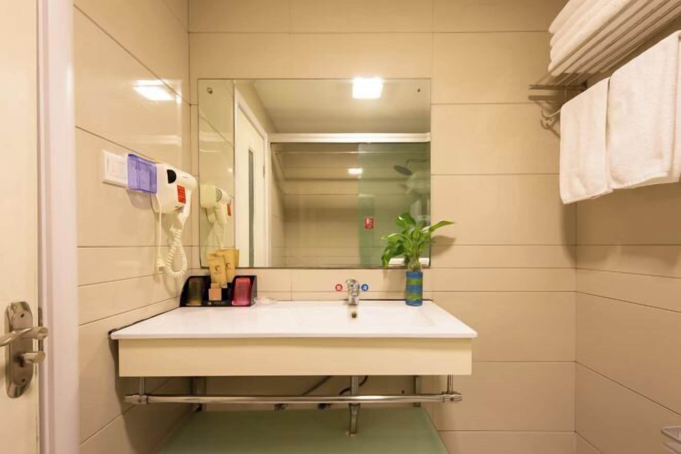Een badkamer met een wit wastafelmeubel, een spiegel, een handdoekhouder, een plant en een handdroger.