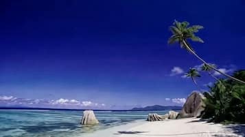 Beach towels
