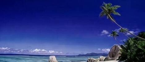 Toallas de playa