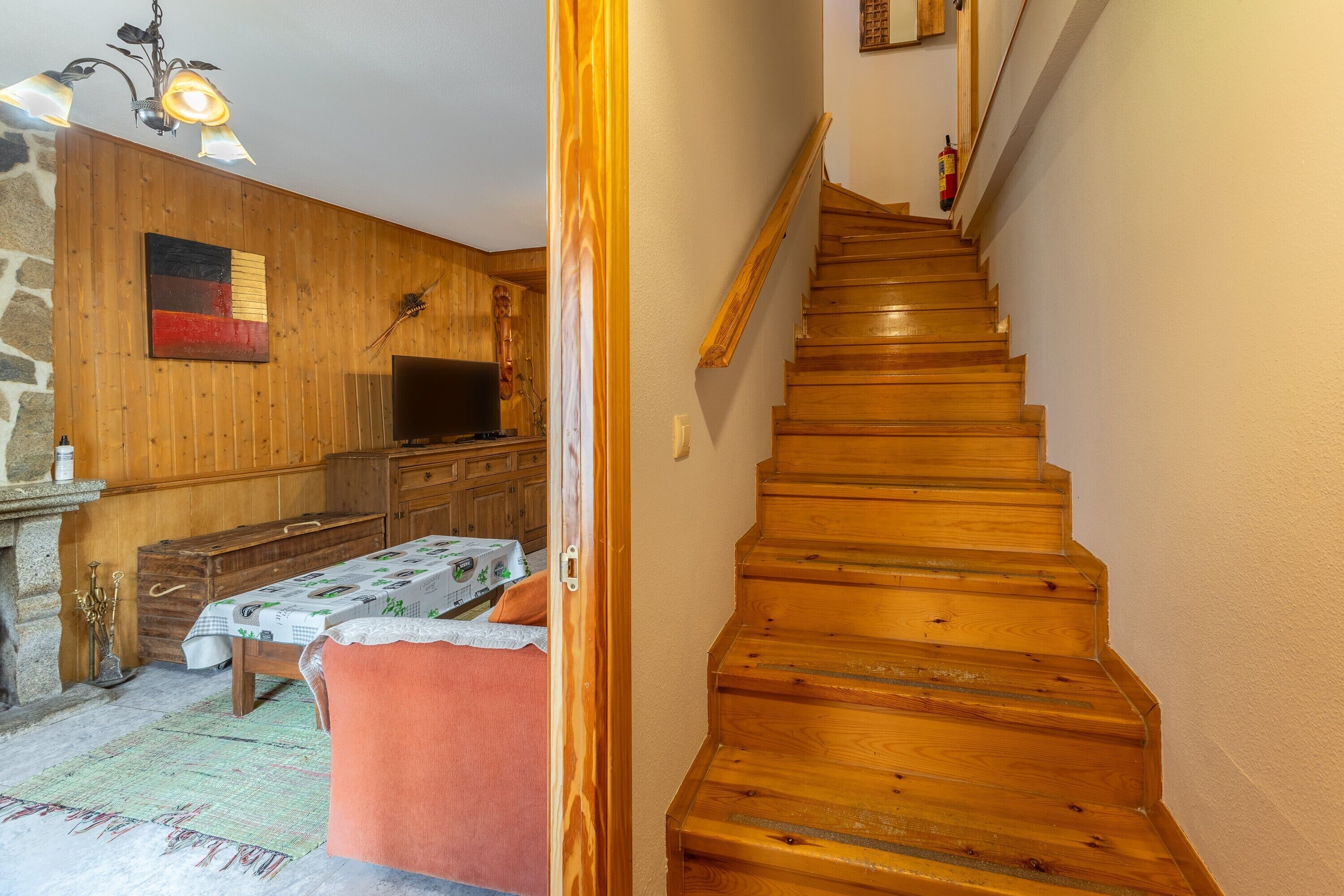 TV, fireplace, DVD player