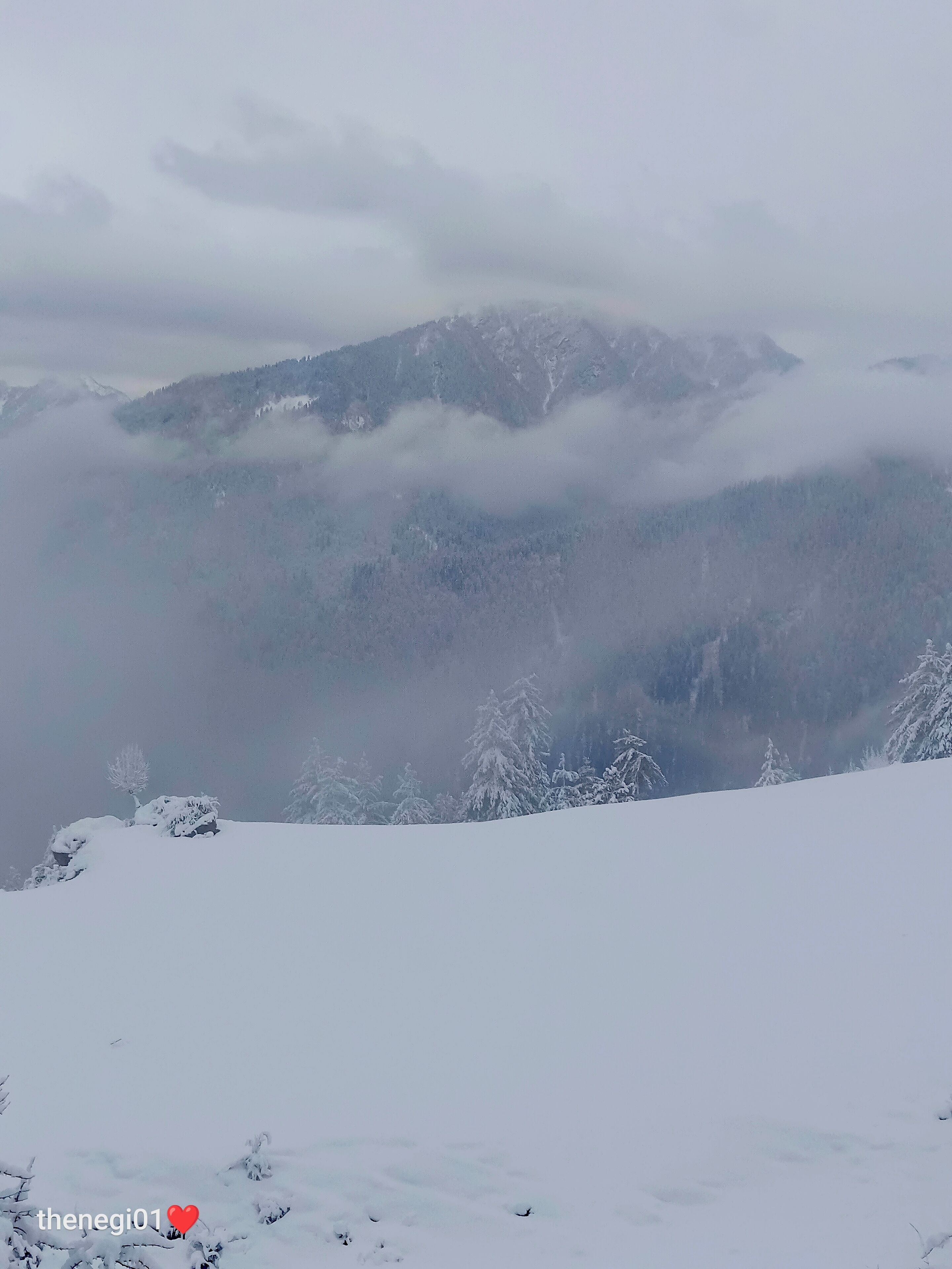 Un paisaje montañoso con árboles nevados y una vista despejada de la cordillera.