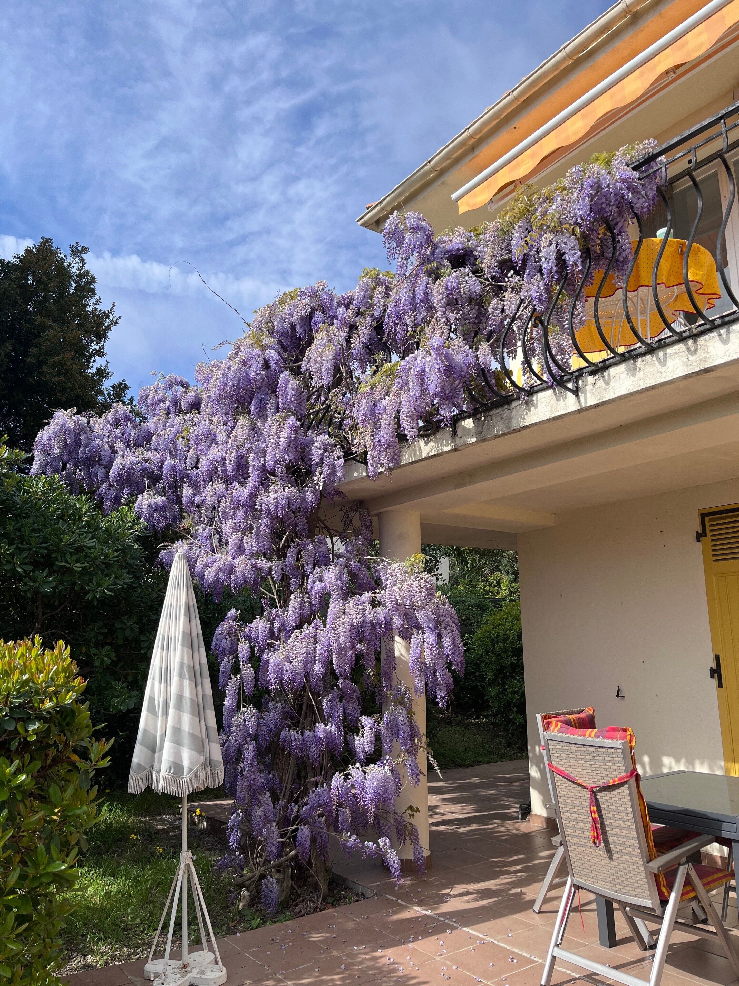 Un bâtiment doté d’un balcon orné de fleurs violettes, d’un parasol blanc et d’une table avec des chaises.