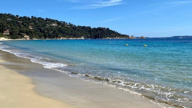 Una playa con agua cristalina, una orilla arenosa y una colina arbolada al fondo.