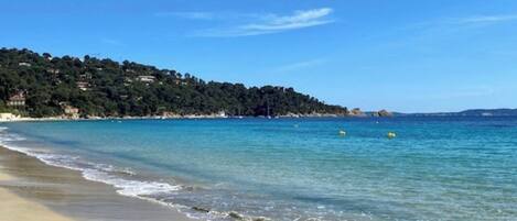 Plage à proximité