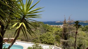 A pool with a view of the sea, surrounded by greenery and a white wall. - Villa 'Amata' with Sea View, Wi-Fi and Air Conditioning (Arzachena)