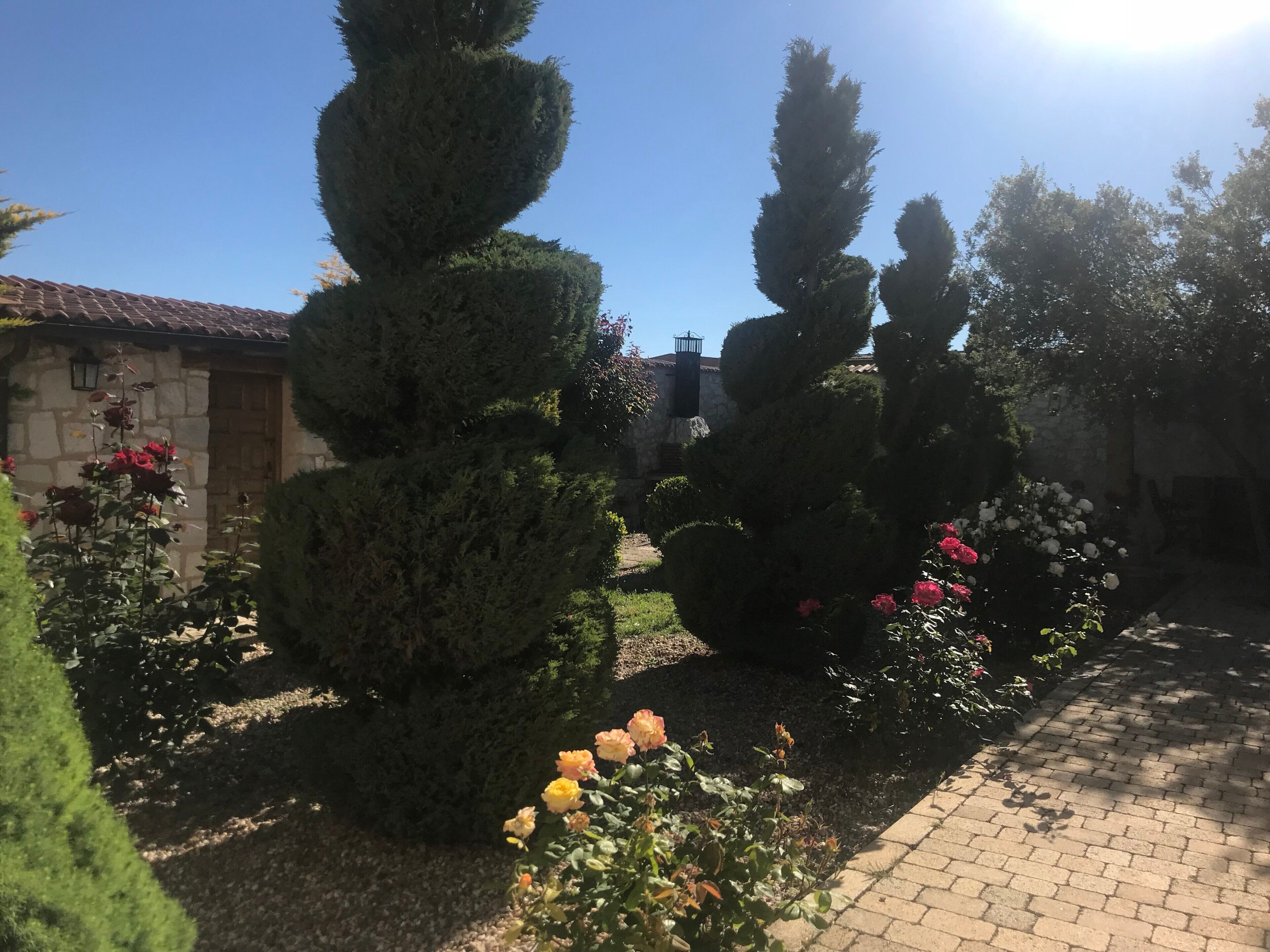 Terrein van de accommodatie