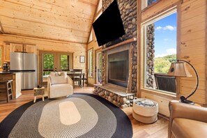 Smart TV, chimenea, libros