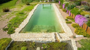 A rectangular pool with a stone border, surrounded by a garden with various plants and flowers.