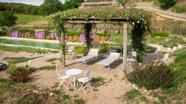 A garden with a pergola, outdoor seating, and a pool.