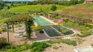 Un espace aménagé avec une piscine, des sièges et une pergola.