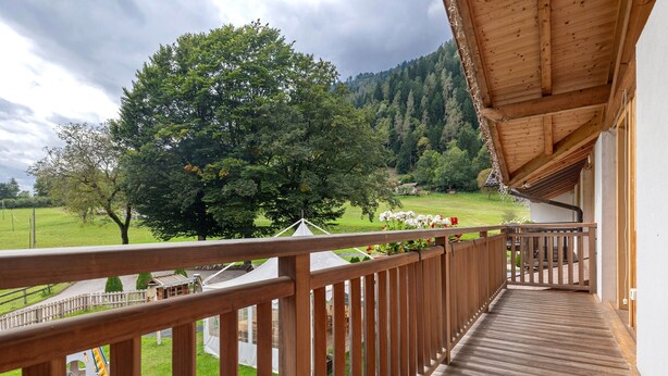 A wooden deck with a view of a green landscape and a tree.