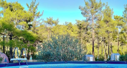 4 Camp & Restaurant - Adult Only