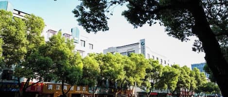 A street lined with parked cars and trees, with buildings in the background.