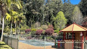 Zona de piscina cercada con un quiosco y palmeras.