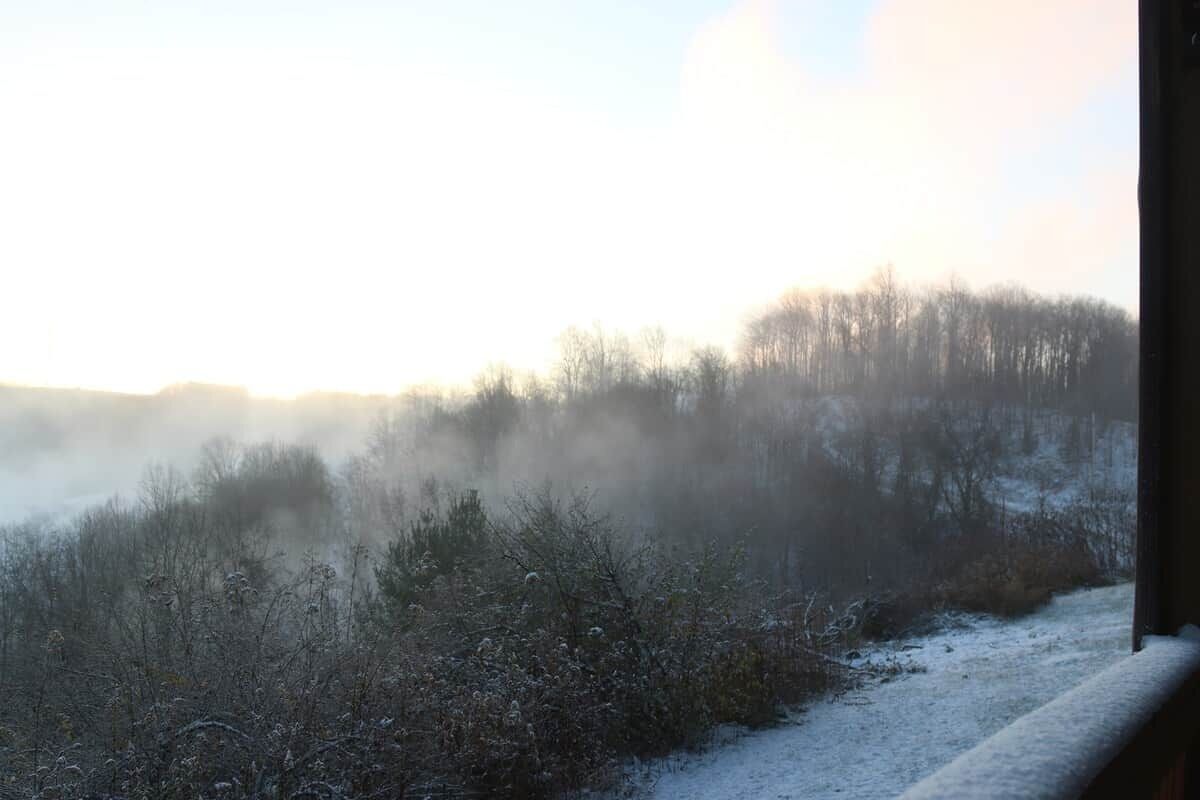 View from property