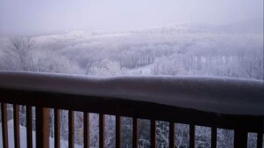 A snowy landscape with a wooden railing in the foreground. - Winterplace D105 Ski in Ski out condo First Floor (Ghent)