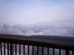 Property grounds - Winterplace Ski in Ski out condo First Floor D105 (Ghent)