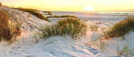 Plage à proximité