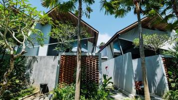 A modern house with a garden, featuring a pathway, palm trees, and a concrete wall with a wooden lattice section.