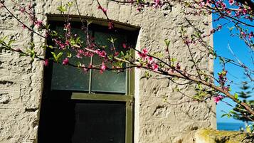 DĂ©tail de lâextĂ©rieur