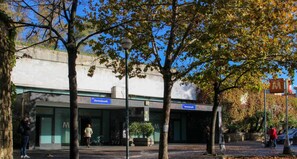 Stylish building with a flat facade and large windows, featuring two entrances and a tree-lined setting.