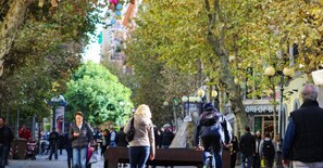 Experience the vibrant energy of the city, surrounded by historic architecture and lush tree-lined streets.