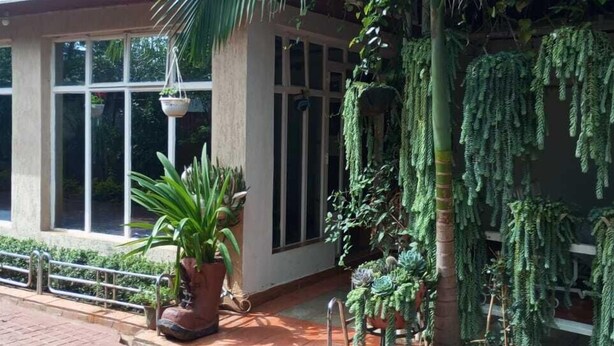 Une maison avec une grande fenêtre, une plante en pot et un cactus.