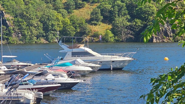 A marina with multiple boats docked.