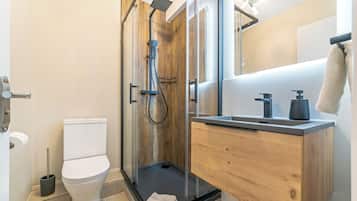 Hair dryer, towels, toilet paper