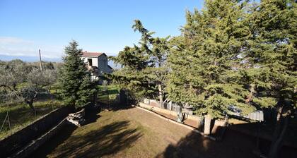 Villa Rinaldo