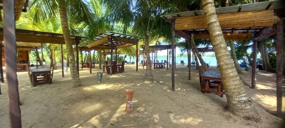 Zona de playa con estructuras y mesas de madera, rodeada de palmeras.