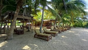 Una playa con sillones y mesas de madera bajo palmeras, evocando un ambiente de resort.