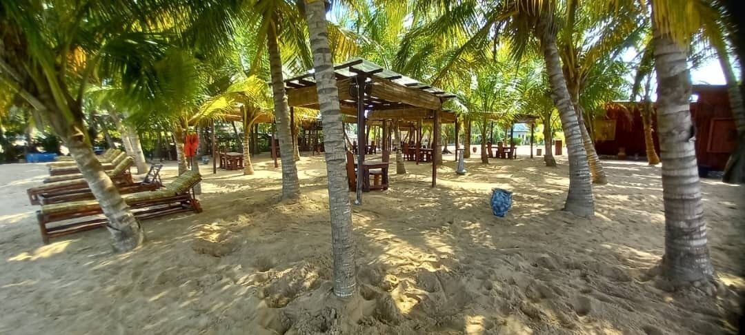 Zona de playa con sillones de madera y un área de estar techada bajo palmeras.