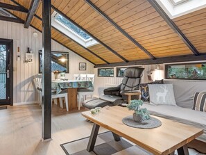 电视、DVD 播放器