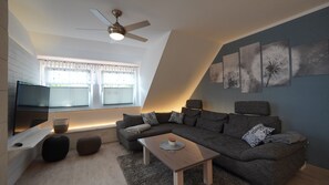 Télévision, table de tennis de table, livres