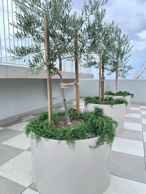 Terrein van de accommodatie