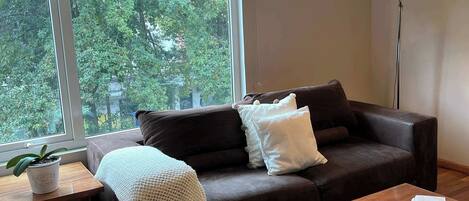 Télévision, espaces bureaux