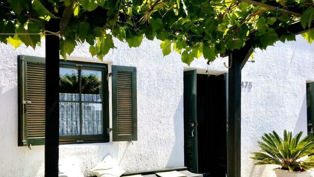 A table with a white cloth and a potted plant beside a white building with green shutters. - House Viskic (Rab)