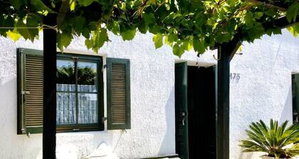 House Viskic