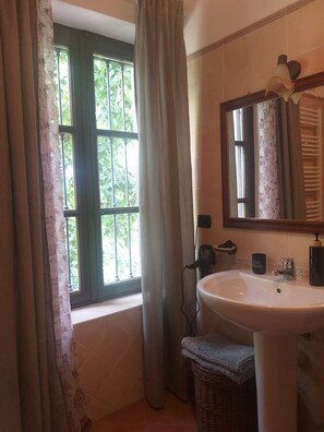 Shower, hair dryer, bidet, towels