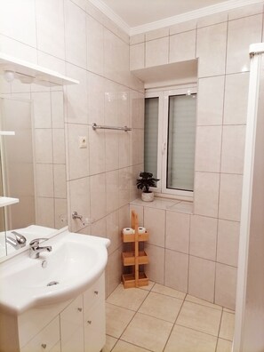 Shower, hair dryer, bidet, towels