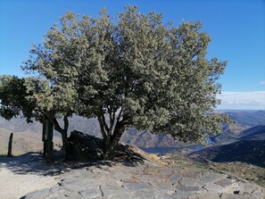 3 bedrooms, iron/ironing board, bed sheets