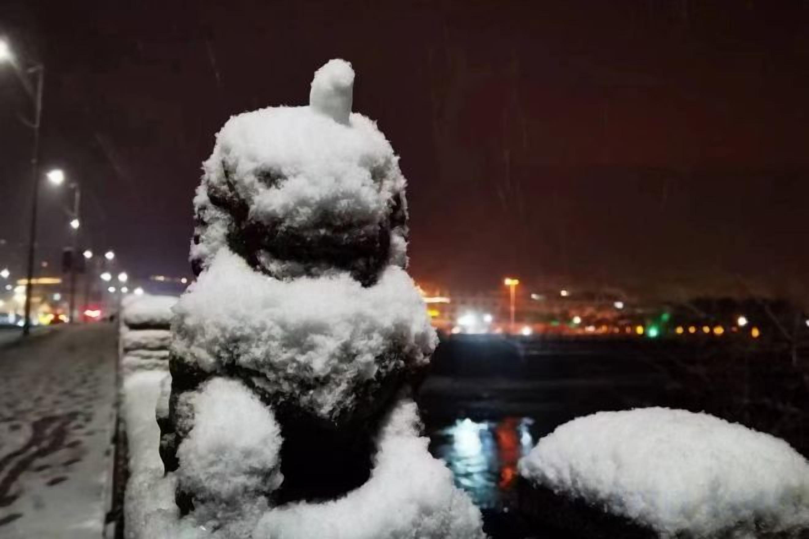 Una estatua cubierta de nieve de un león.