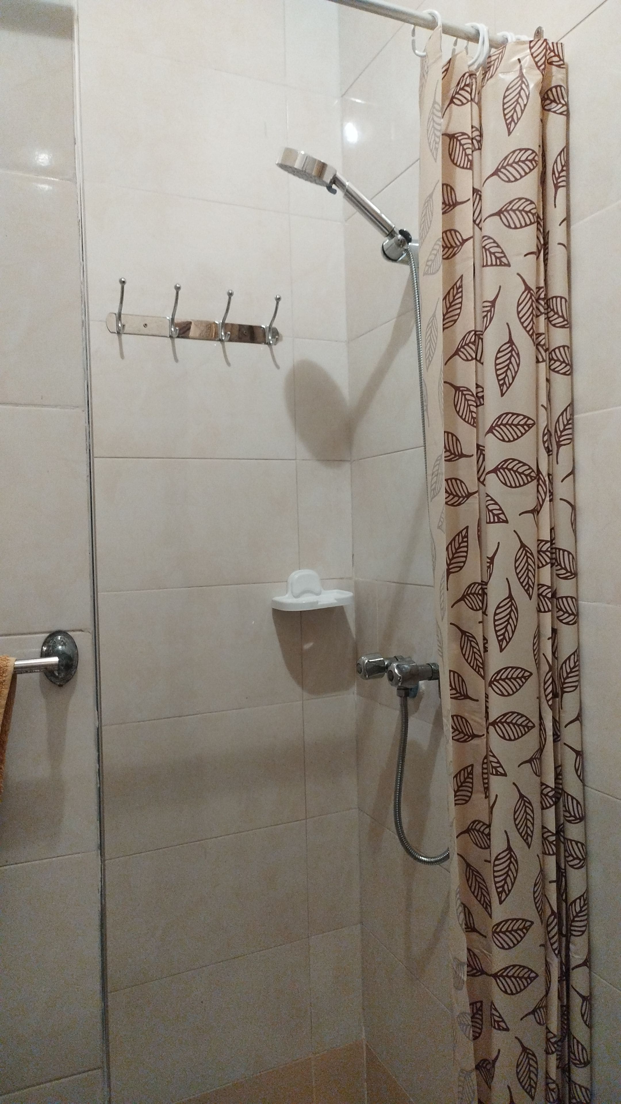 A shower area with a glass door, a towel rack, a toilet, and a shower curtain with a leaf pattern.