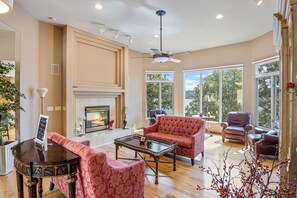 Smart TV, fireplace, books