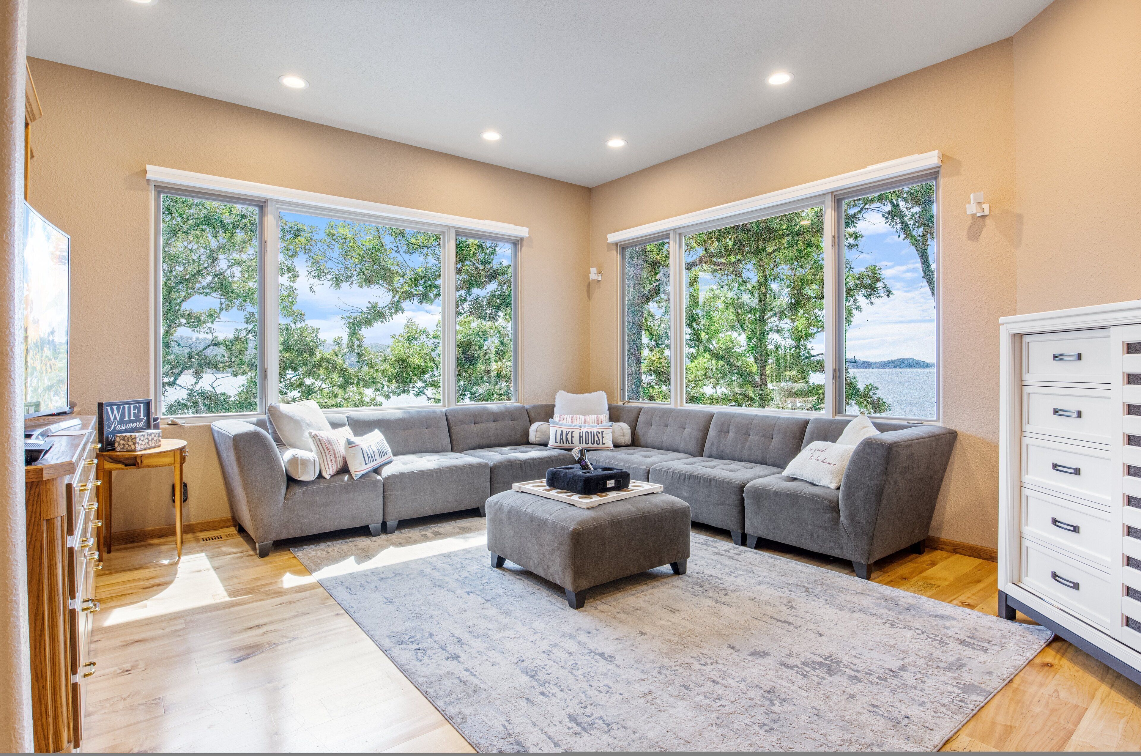 Smart TV, fireplace, books