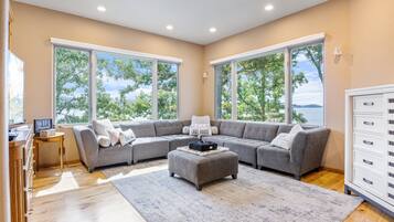 Smart TV, fireplace, books